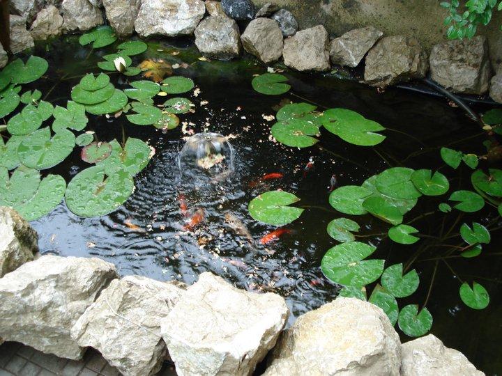 Un colt de Rai - 2677081420410858720527997710n1.jpg